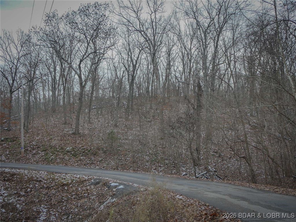 0 Cole Road Gravois Mills, MO 65037 - Photo 7 of 8