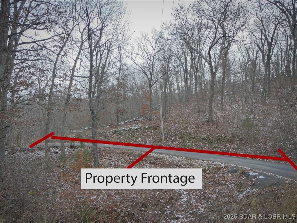 0 Cole Road Gravois Mills, MO 65037 - Photo 8 of 8