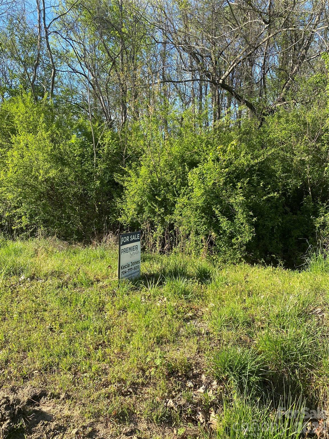0 Happy Hill Road Fairmont, NC 28340 - Photo 2 of 2