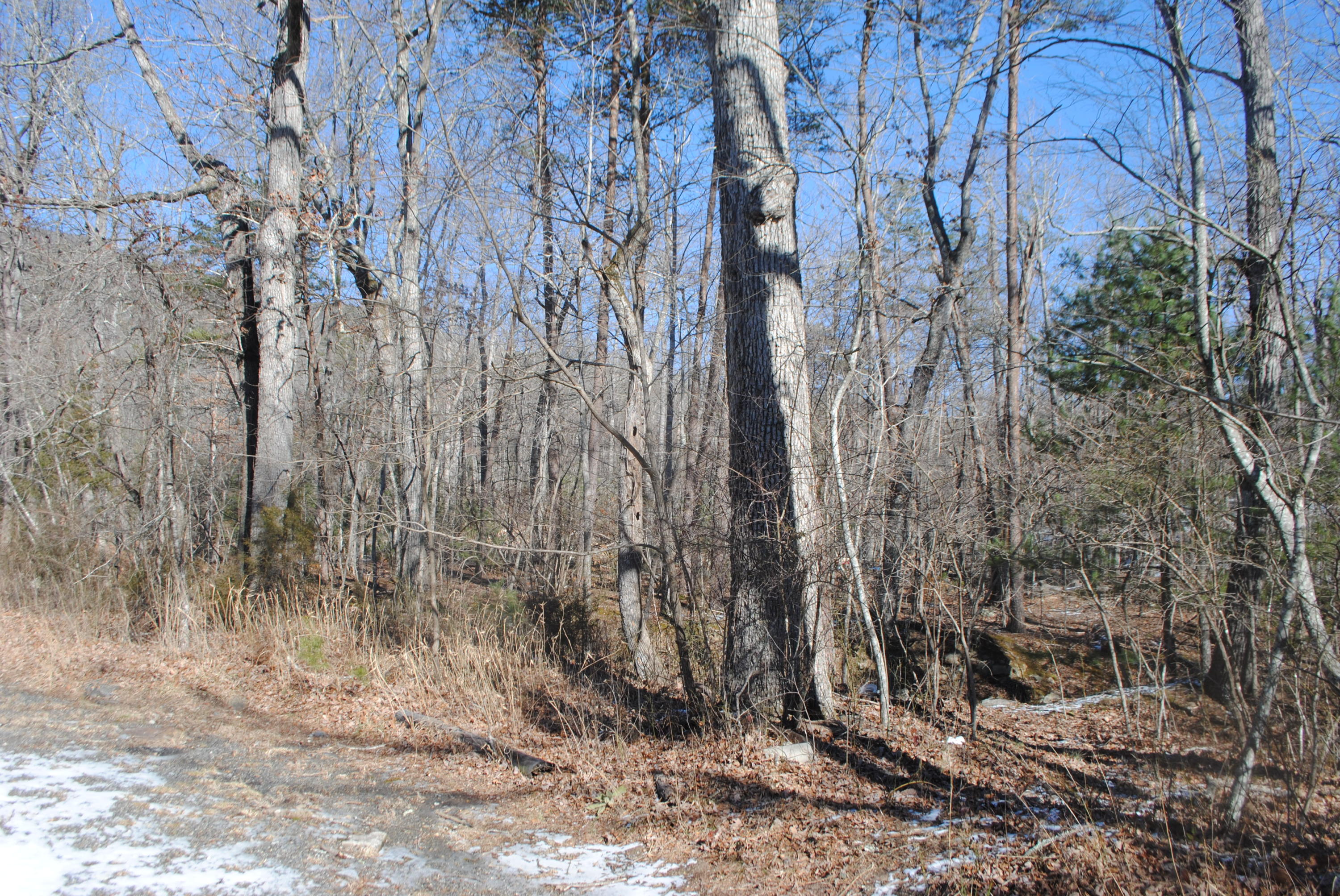 0 Casey Road Salem, VA 24153 - Photo 2 of 3 DSC_0530
