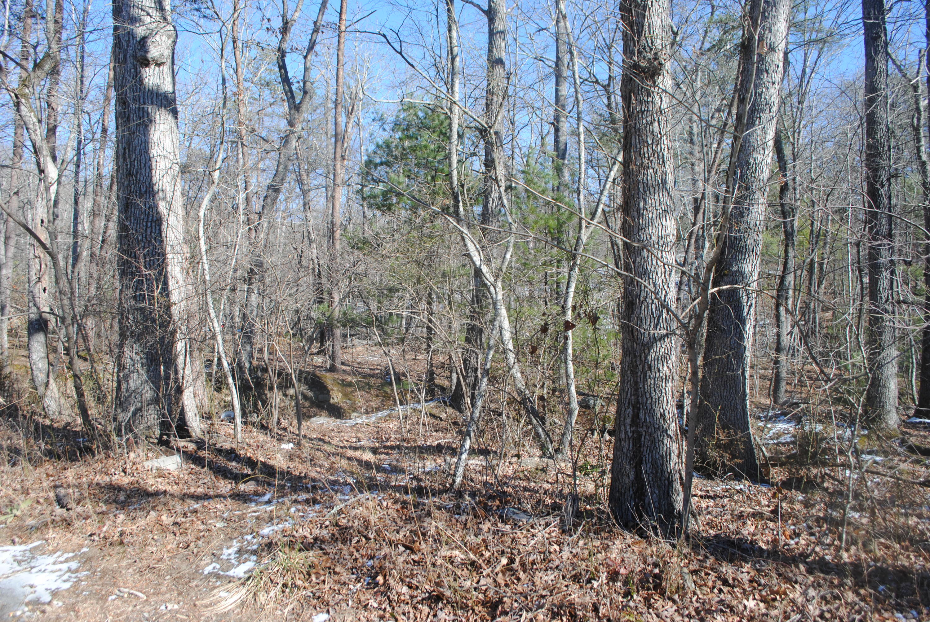 0 Casey Road Salem, VA 24153 - Photo 3 of 3 DSC_0531