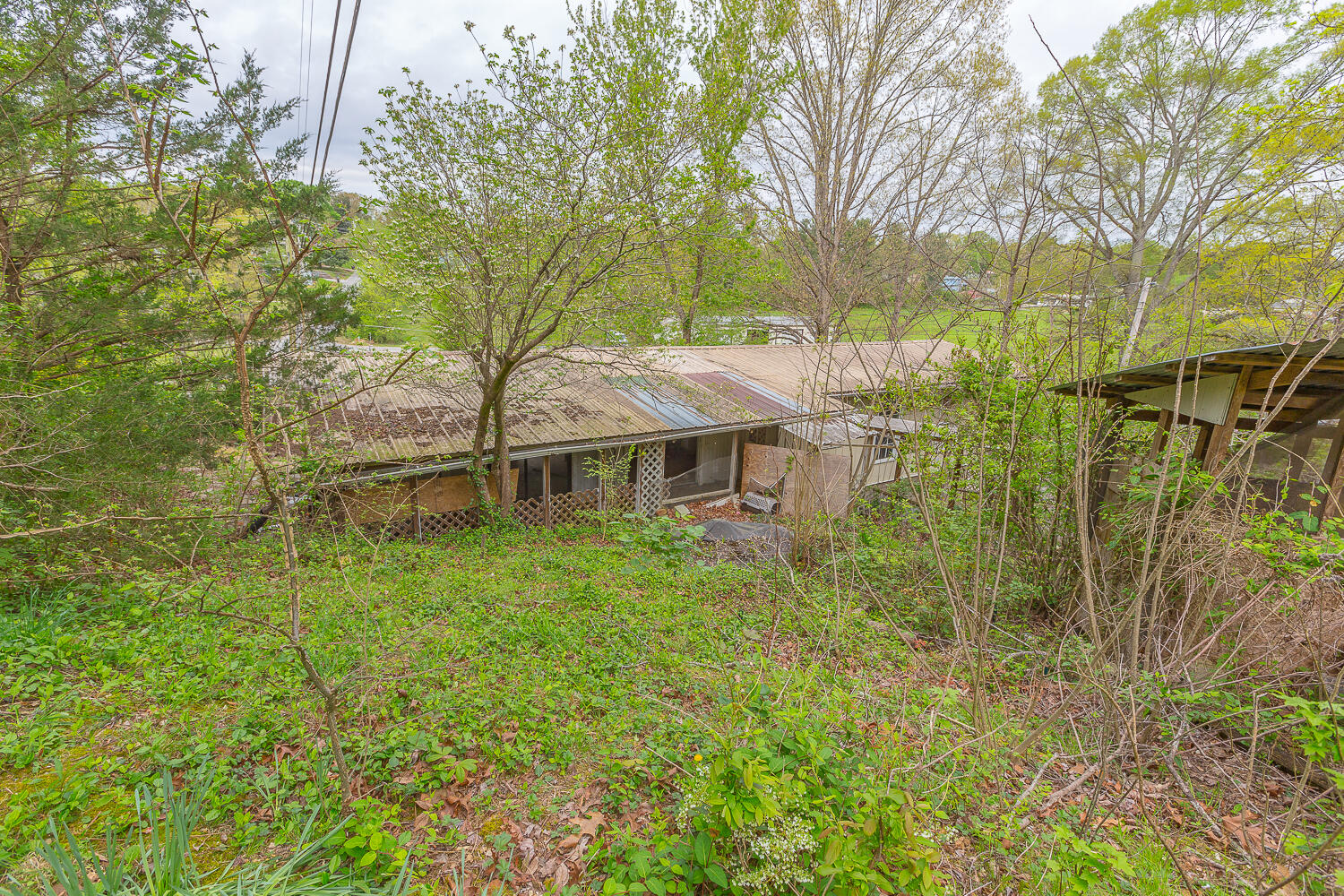 220 North Jenkins Road Rossville, GA 30741 - Photo 36 of 36 202 Jenkins Road HD_-37