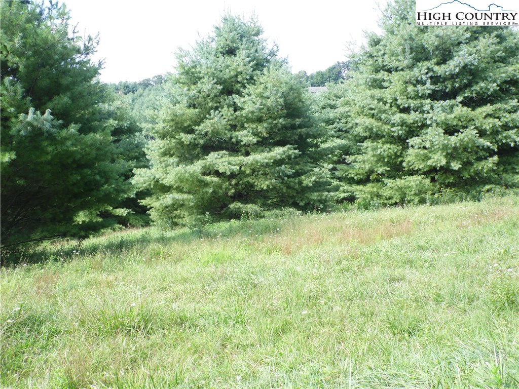 13 Ridgeline Way Sparta, NC 28675 - Photo 4 of 14 Gallery Image 4