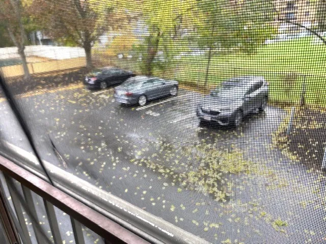 $435,000 | 51 Melrose Street, Unit 1C, Melrose, MA 02176