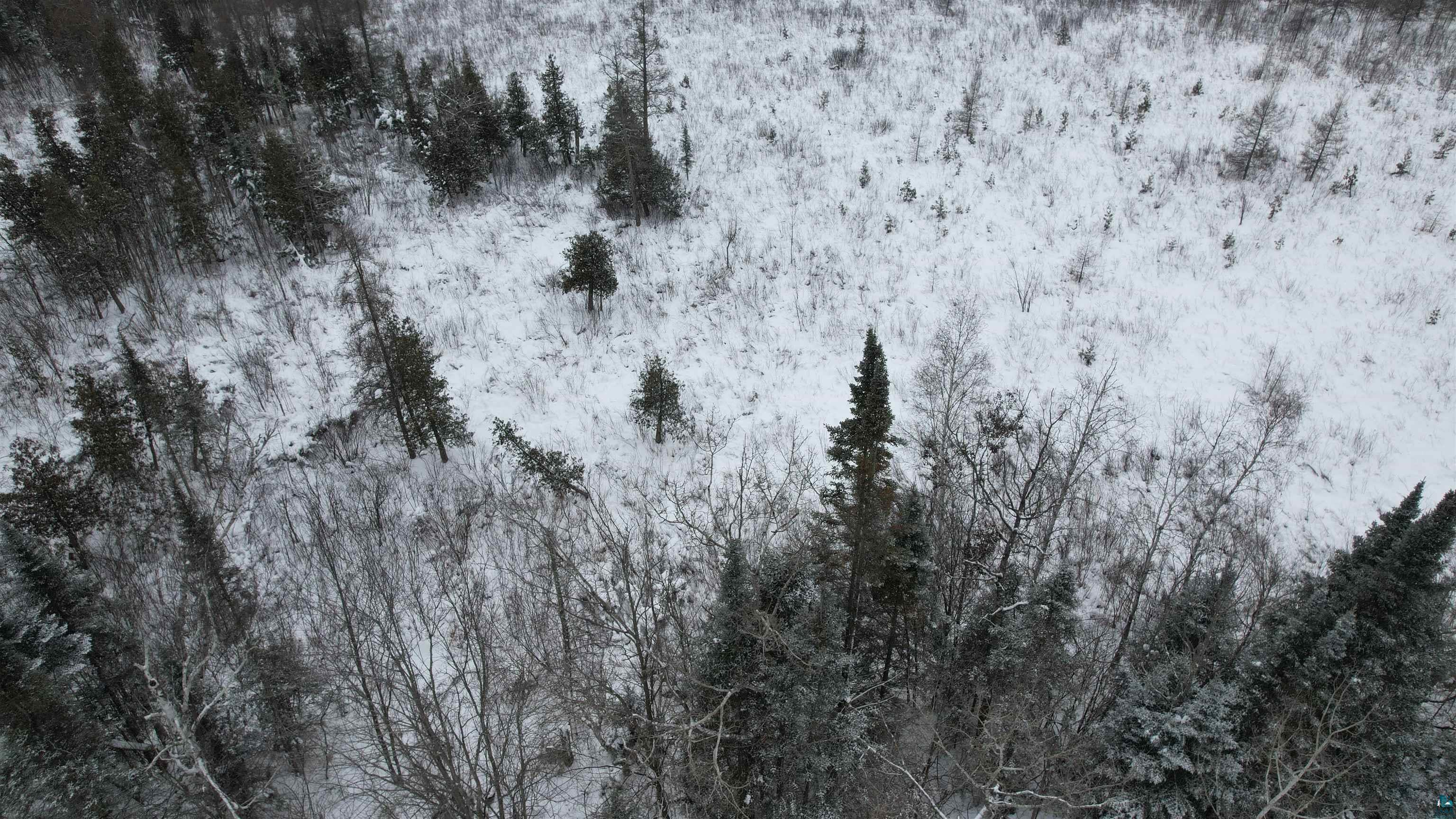 Tbd County Highway North Solon Springs, WI 54873 - Photo 4 of 6