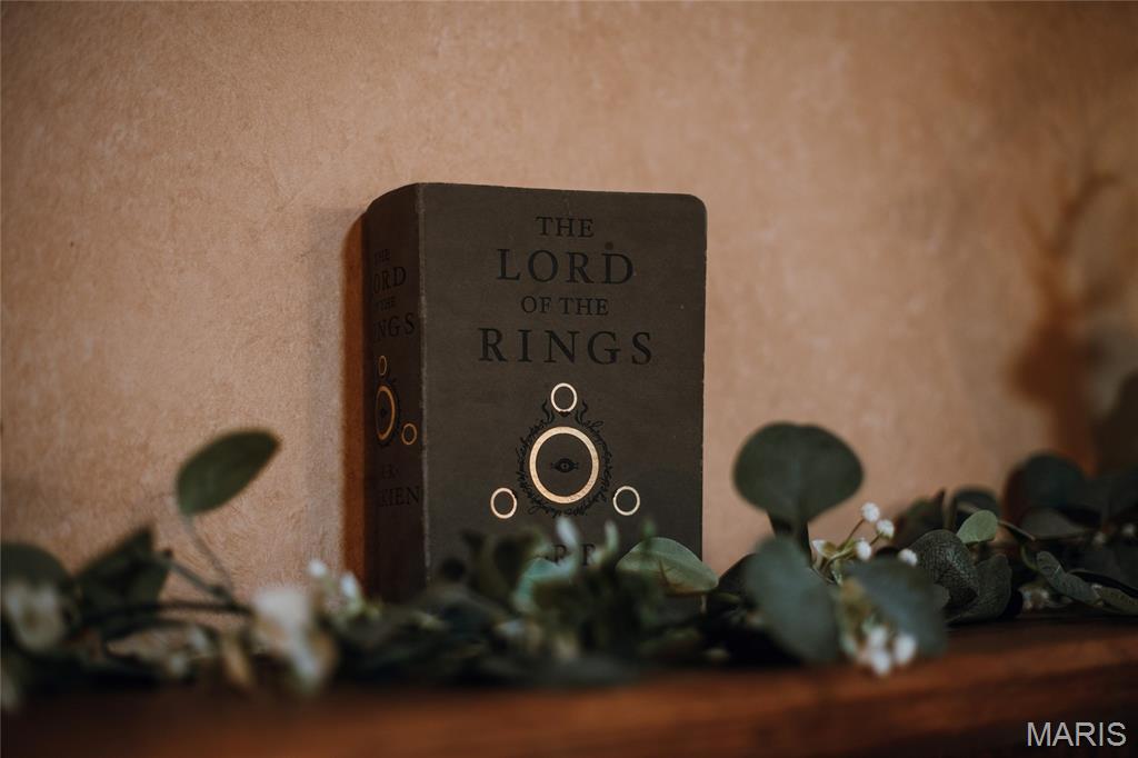 295 Panthers Den Road Makanda, IL 62958 - Photo 48 of 80