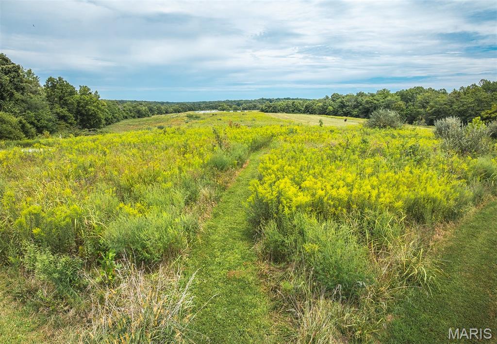 295 Panthers Den Road Makanda, IL 62958 - Photo 80 of 80