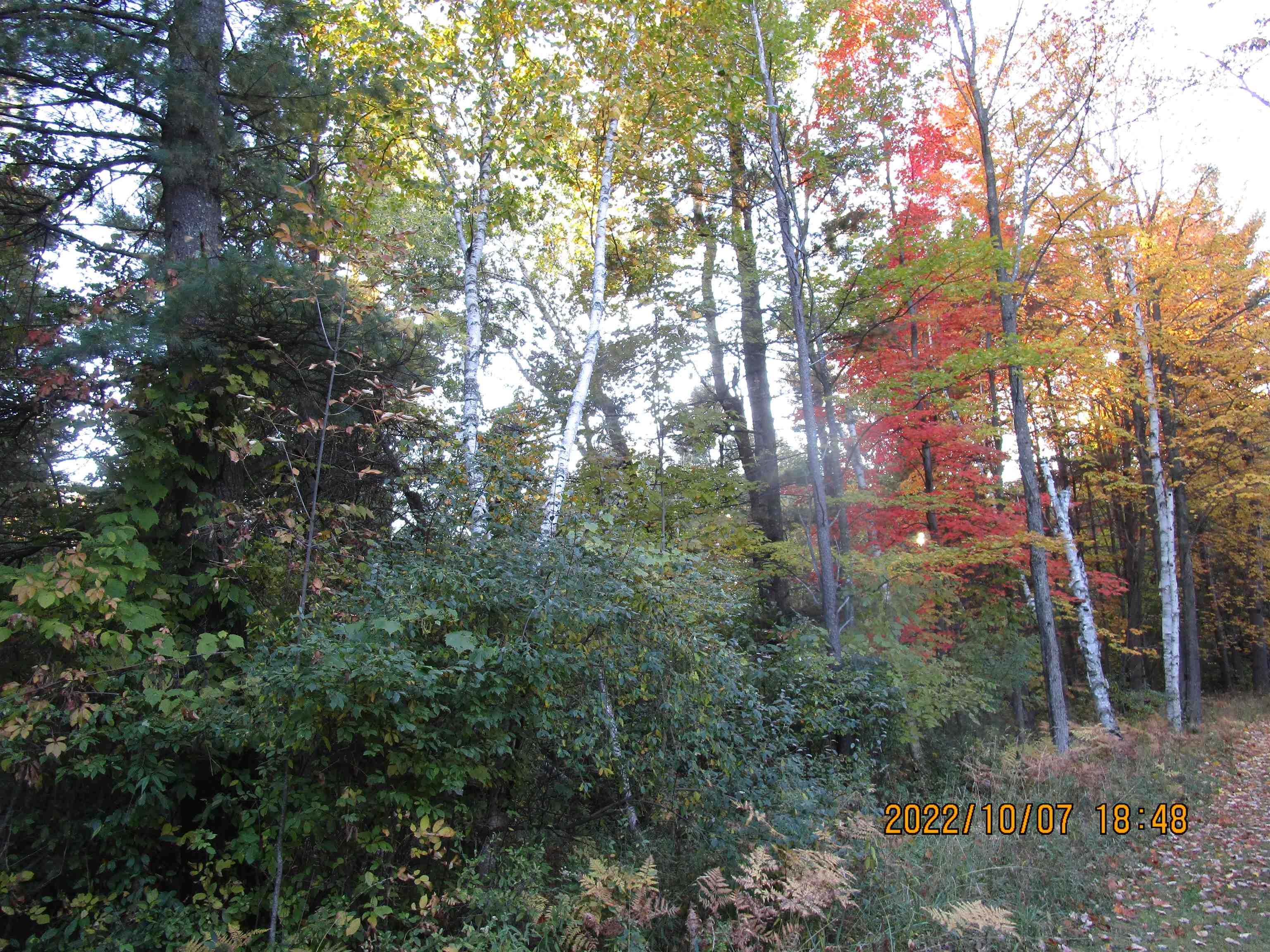 0 Miller Road, Unit ACCESS OFF MCARDLE East Tawas, MI 48730 - Photo 1 of 7