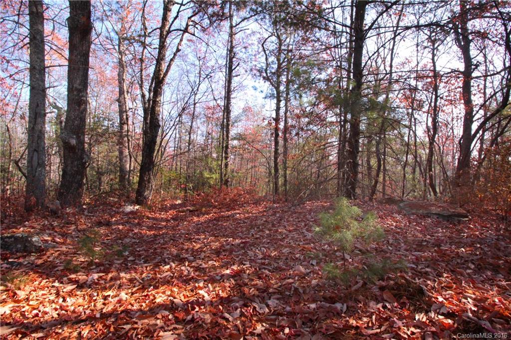 12 Feedrock Road, Unit 12 Brevard, NC 28712 - Photo 1 of 16 Gallery Image 1