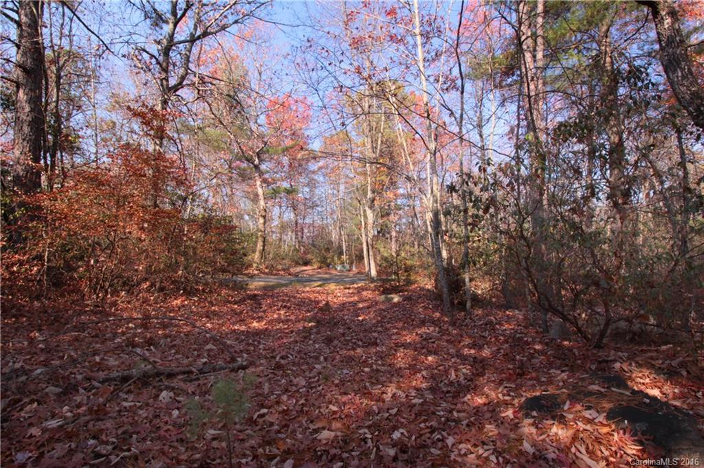 12 Feedrock Road, Unit 12 Brevard, NC 28712 - Photo 3 of 16 Gallery Image 3