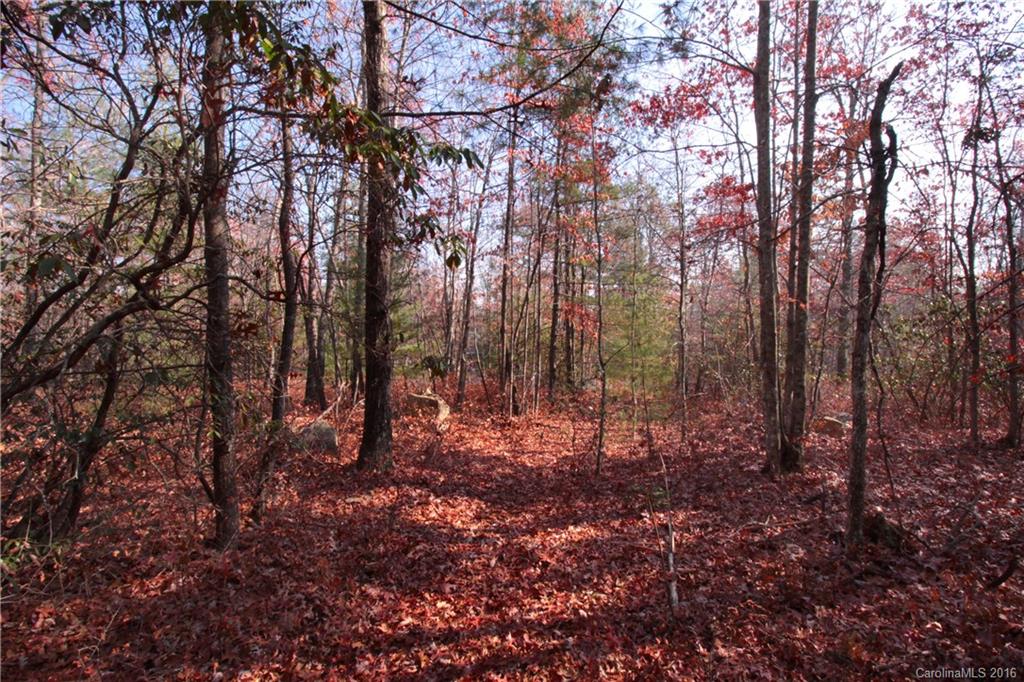 12 Feedrock Road, Unit 12 Brevard, NC 28712 - Photo 4 of 16 Gallery Image 4