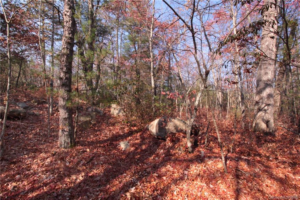 12 Feedrock Road, Unit 12 Brevard, NC 28712 - Photo 9 of 16 Gallery Image 9