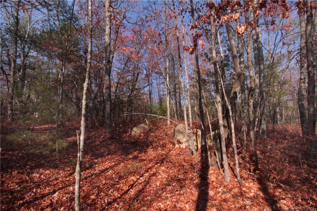 12 Feedrock Road, Unit 12 Brevard, NC 28712 - Photo 10 of 16 Gallery Image 10