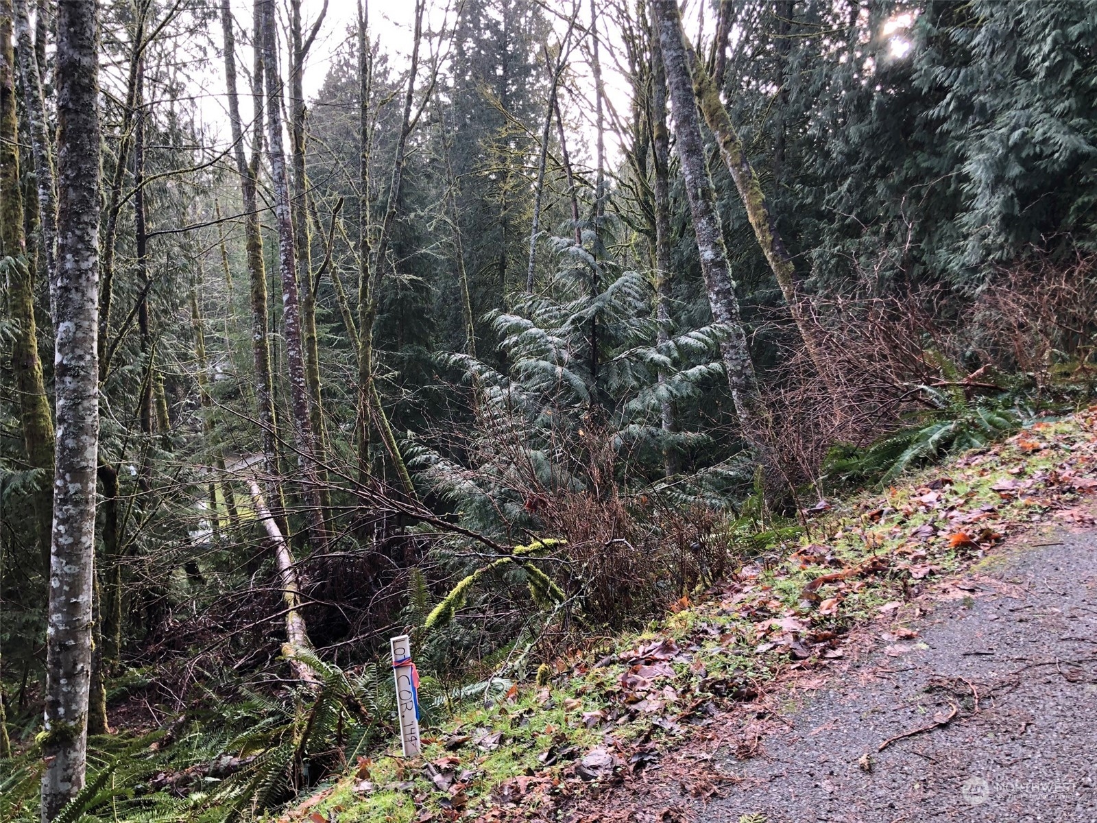 23 Rose Ridge Loop Bellingham, WA 98229 - Photo 1 of 3 Gallery Image 1