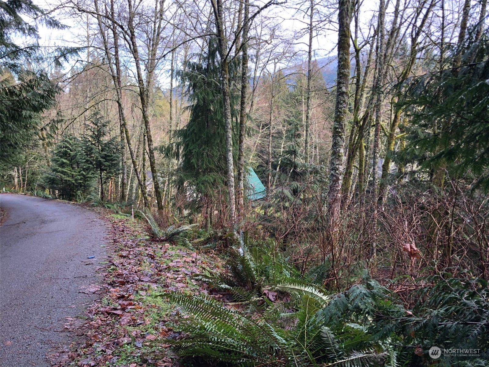 23 Rose Ridge Loop Bellingham, WA 98229 - Photo 2 of 3 Gallery Image 2