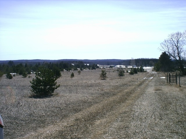 Off Off Doerr Road Mancelona, MI 49659 - Photo 4 of 9 1844344-3.JPG