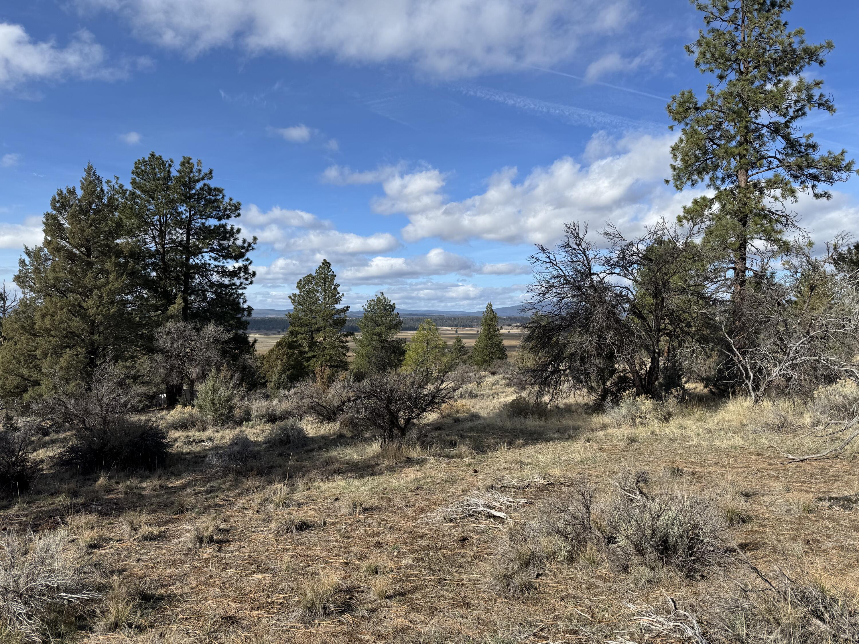 0 Quarry Circle, Unit 17 Beatty, OR 97621 - Photo 6 of 11 a view of a yard with a tree