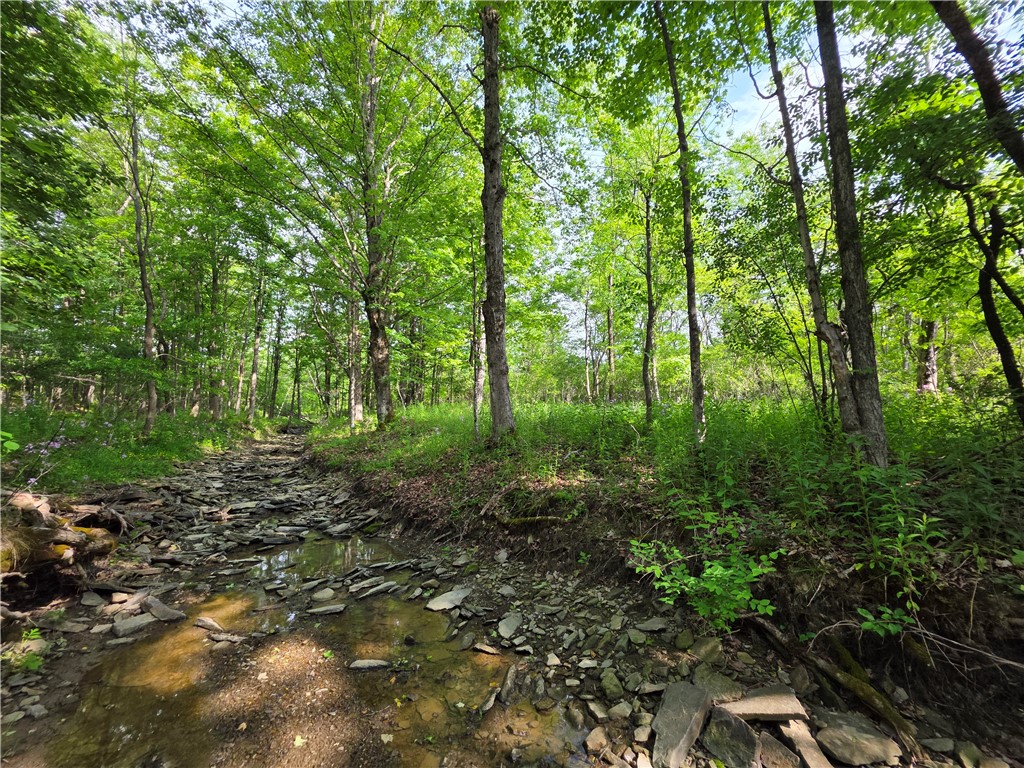 Potter Road Greenwood, NY 14839 - Photo 17 of 23