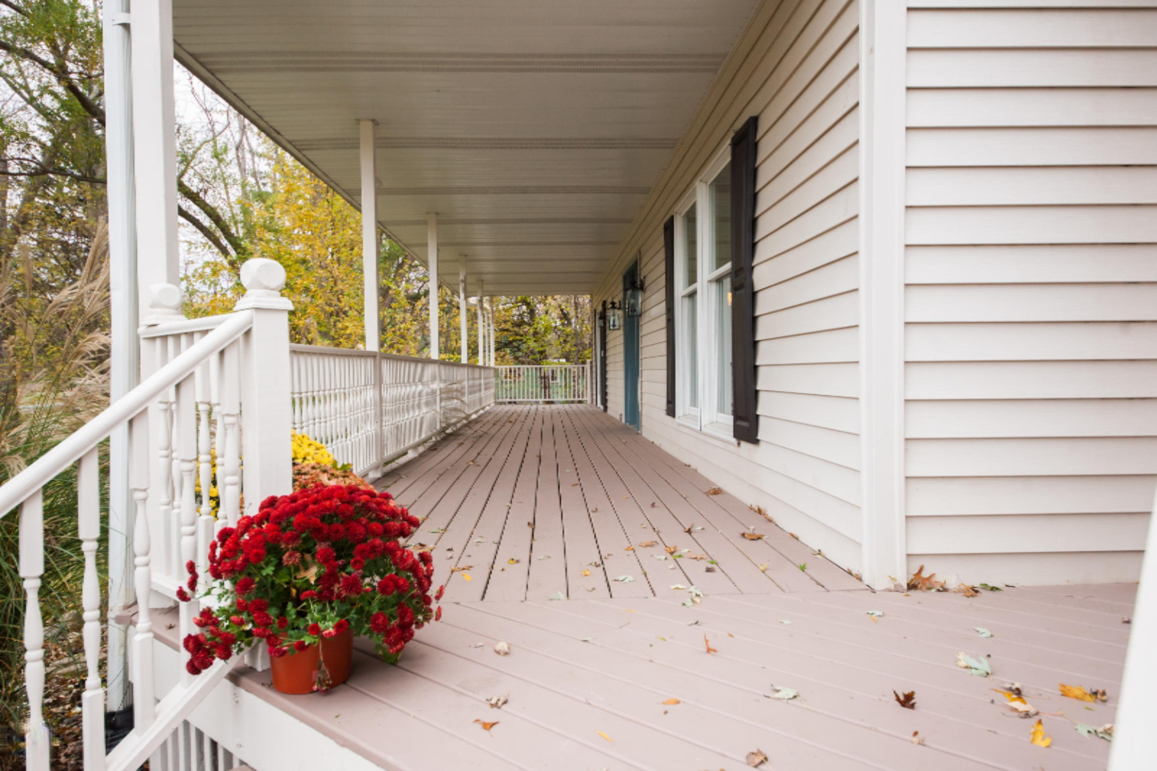 9974 Gast Road Bridgman, MI 49106 - Photo 3 of 50 DSC00452