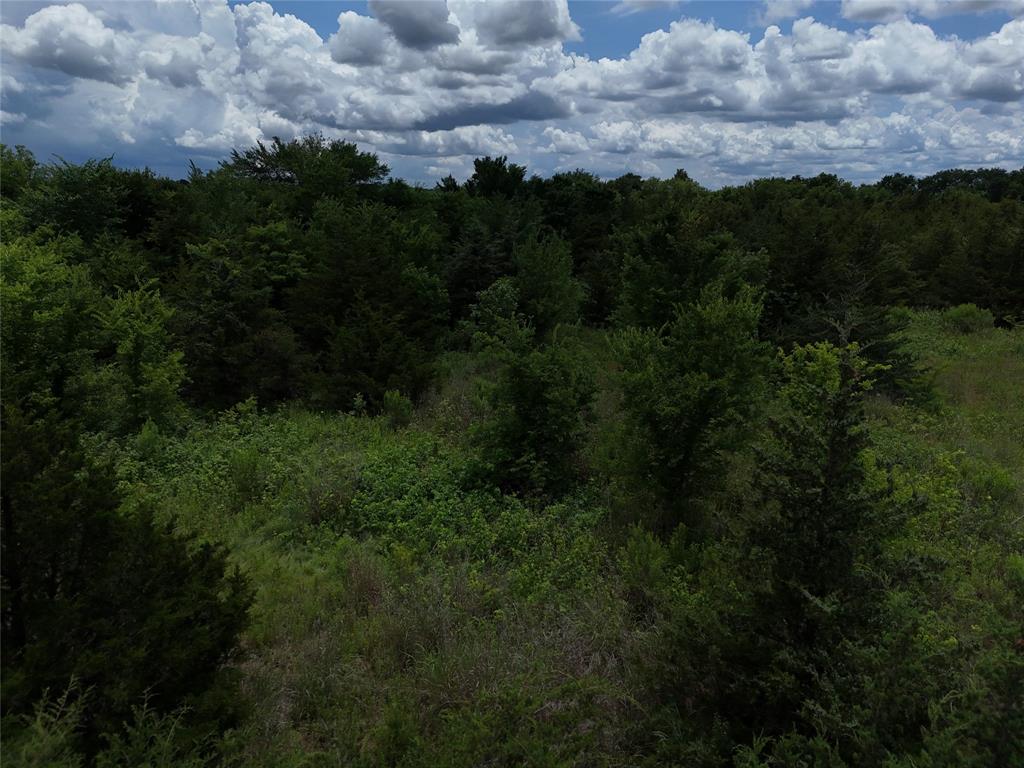 203 Fm 2675 Cooper, TX 75432 - Photo 7 of 17 a view of a city and lush green forest