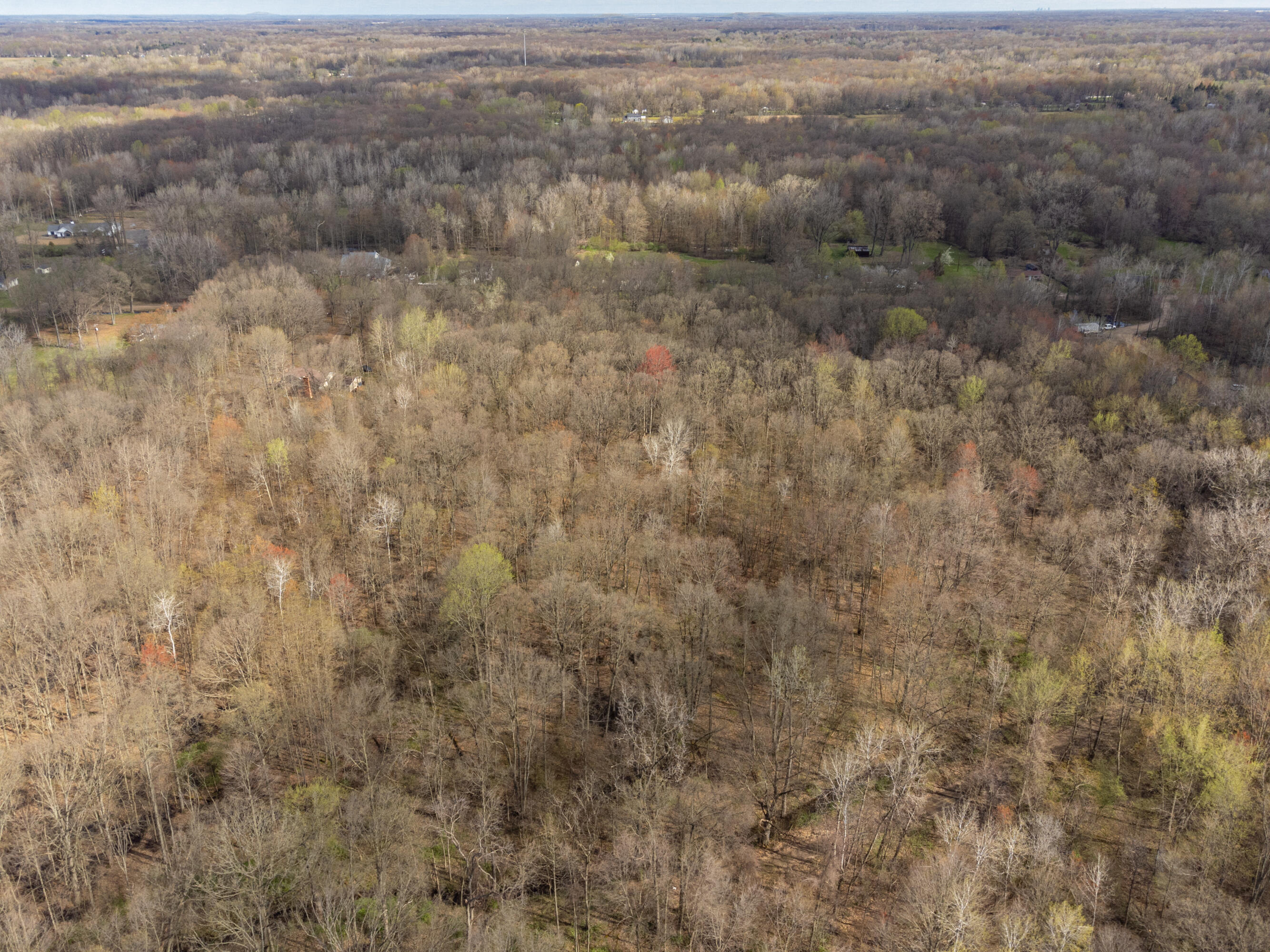 44403 Dunn Road Belleville, MI 48111 - Photo 54 of 63 Aerial parcel
