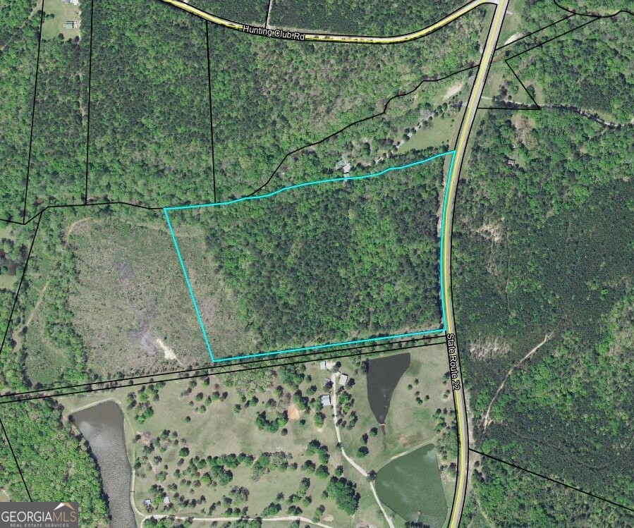 0 Sparta Road Southeast Crawfordville, GA 30631 - Photo 2 of 4