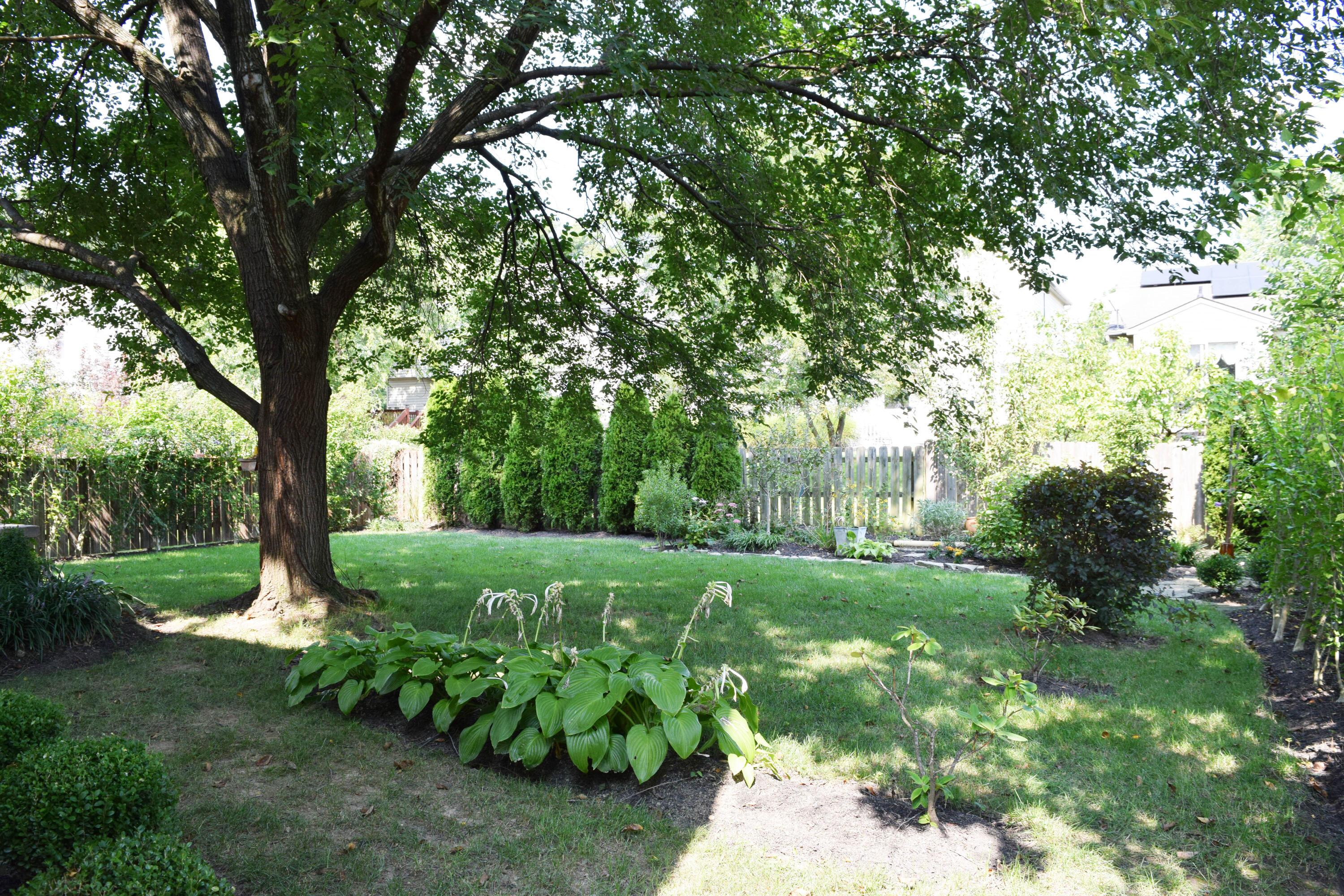 312 Holly Grove Road Lewis Center, OH 43035 - Photo 28 of 32 26-BackYard