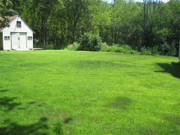 98 Adams Road Grafton, MA 01536 - Photo 14 of 15 a view of white house with a big yard and large trees