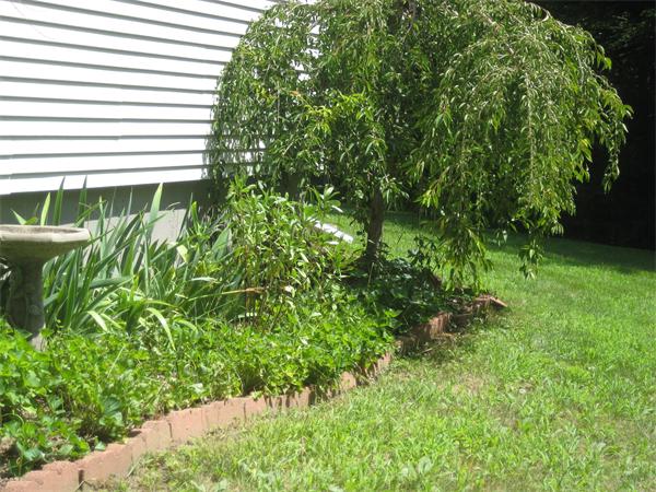 98 Adams Road Grafton, MA 01536 - Photo 15 of 15 a view of a backyard
