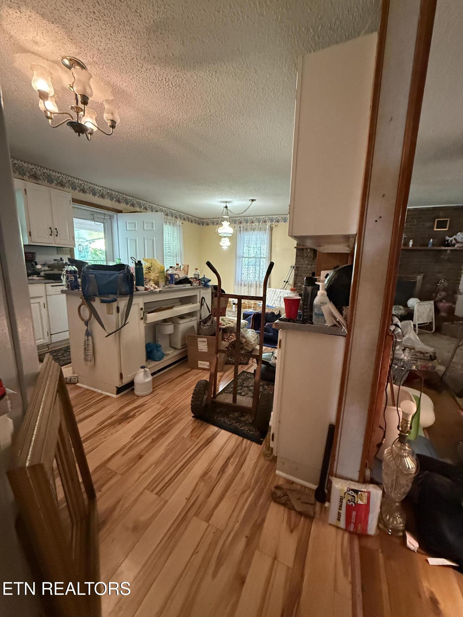 165 Robin Hood Lane Rutledge, TN 37861 - Photo 8 of 42 Bright and airy kitchen dining space 2