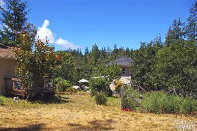 1639 Furlong Road Sebastopol, CA 95472 - Photo 1 of 6 a view of a fire pit with large trees