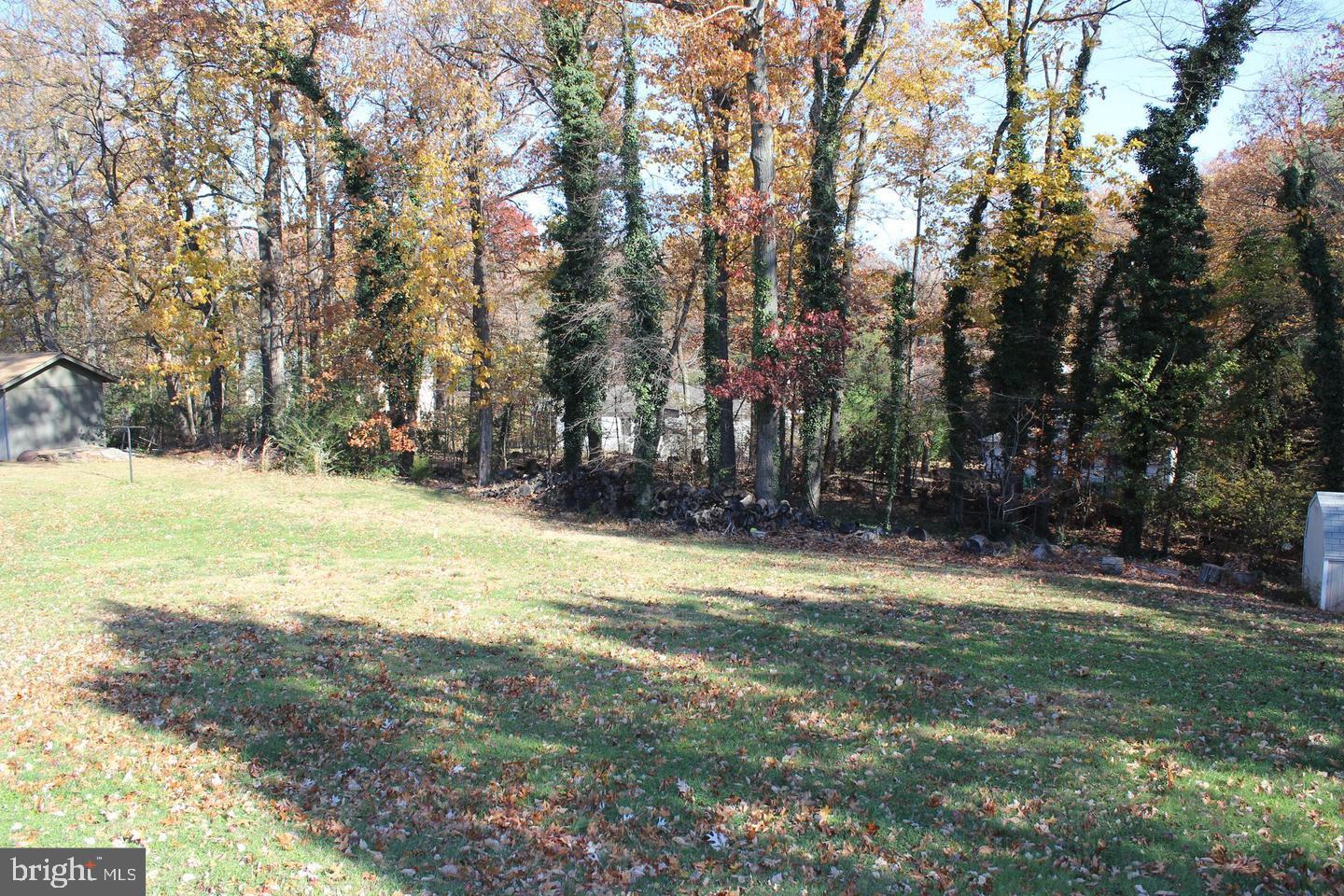 3735 West Ox Road Fairfax, VA 22033 - Photo 18 of 28 Spacious Back Yard