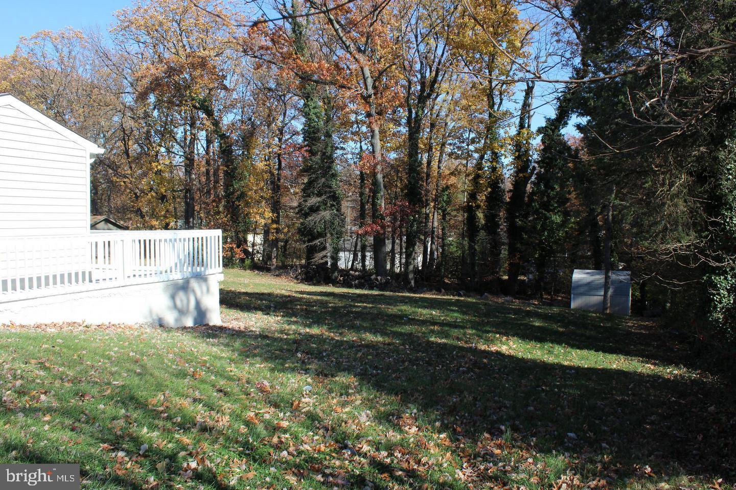 3735 West Ox Road Fairfax, VA 22033 - Photo 20 of 28 Back Yard