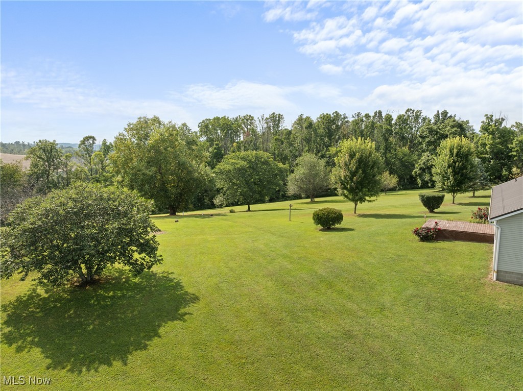 40885 Mt Hope Road Flushing, OH 43977 - Photo 38 of 50 View of green lawn with view of scattered trees