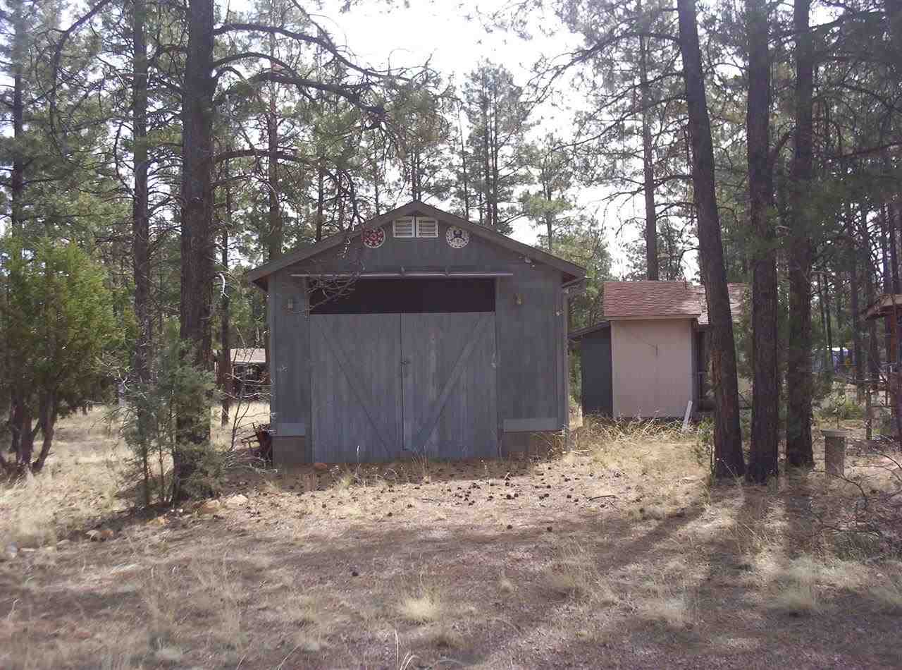 2005 B Penrod Road Overgaard, AZ 85933 - Photo 2 of 9