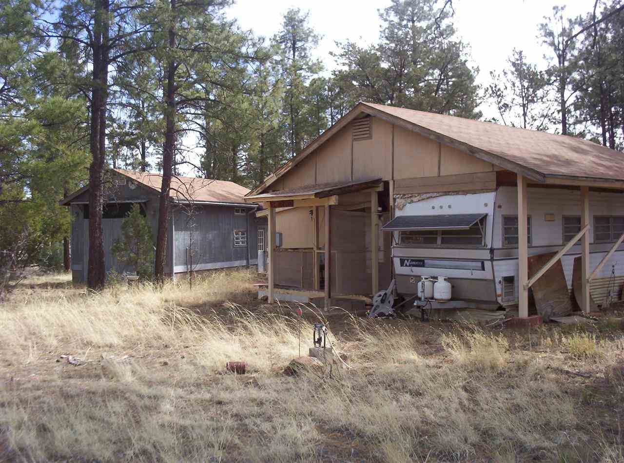 2005 B Penrod Road Overgaard, AZ 85933 - Photo 3 of 9