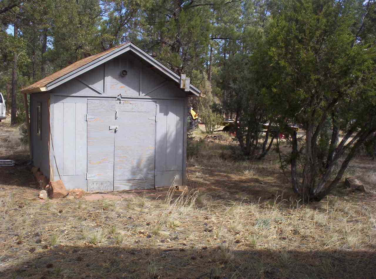 2005 B Penrod Road Overgaard, AZ 85933 - Photo 4 of 9