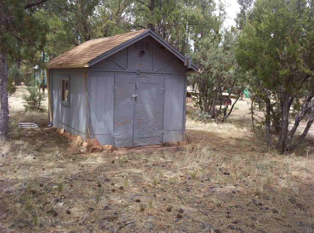 2005 B Penrod Road Overgaard, AZ 85933 - Photo 6 of 9
