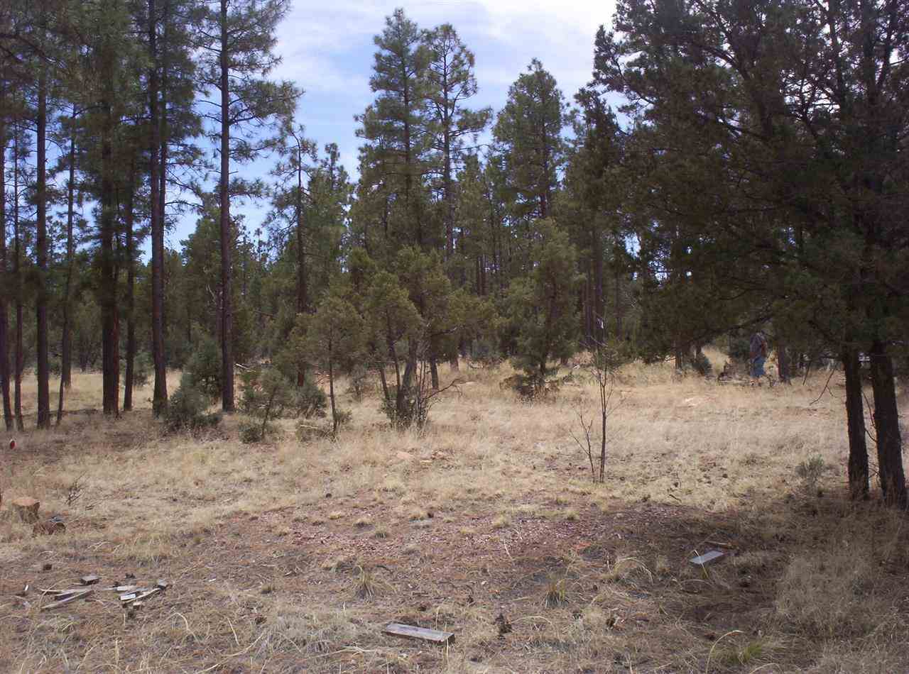 2005 B Penrod Road Overgaard, AZ 85933 - Photo 7 of 9