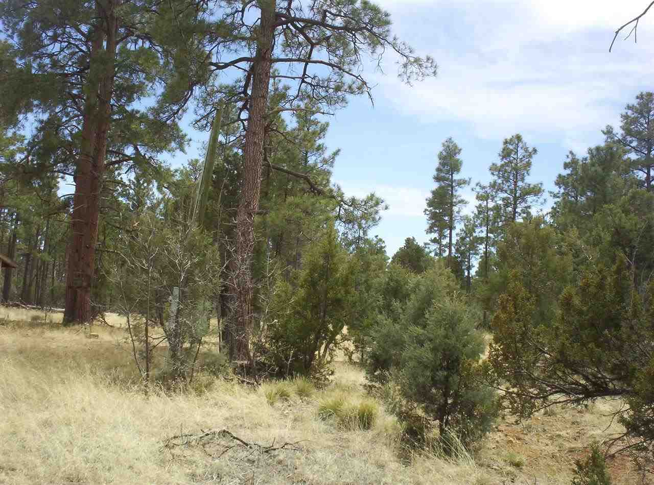 2005 B Penrod Road Overgaard, AZ 85933 - Photo 9 of 9