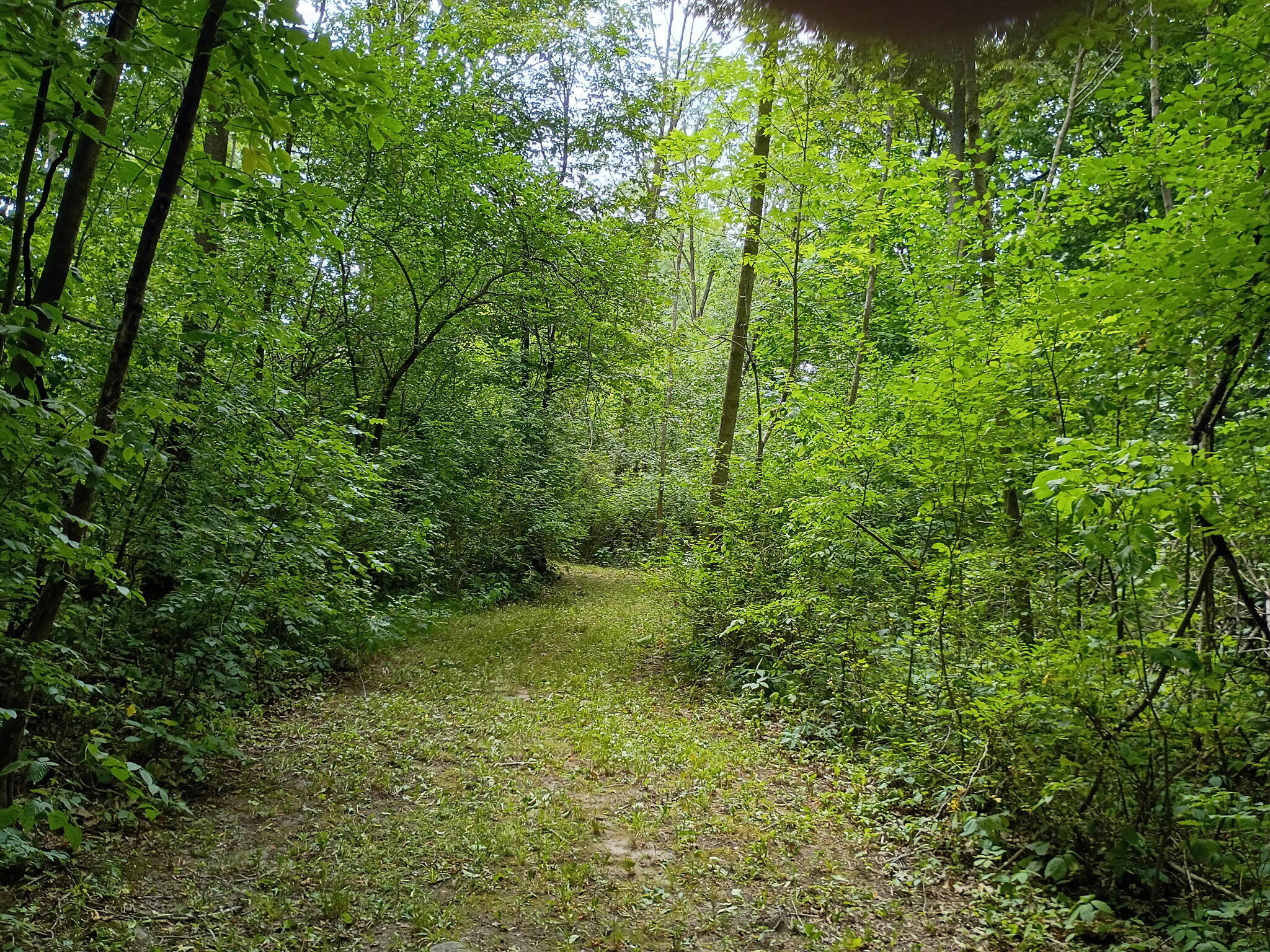 N4439 Cedar Lane Road Plymouth, WI 53073 - Photo 16 of 54 16594
