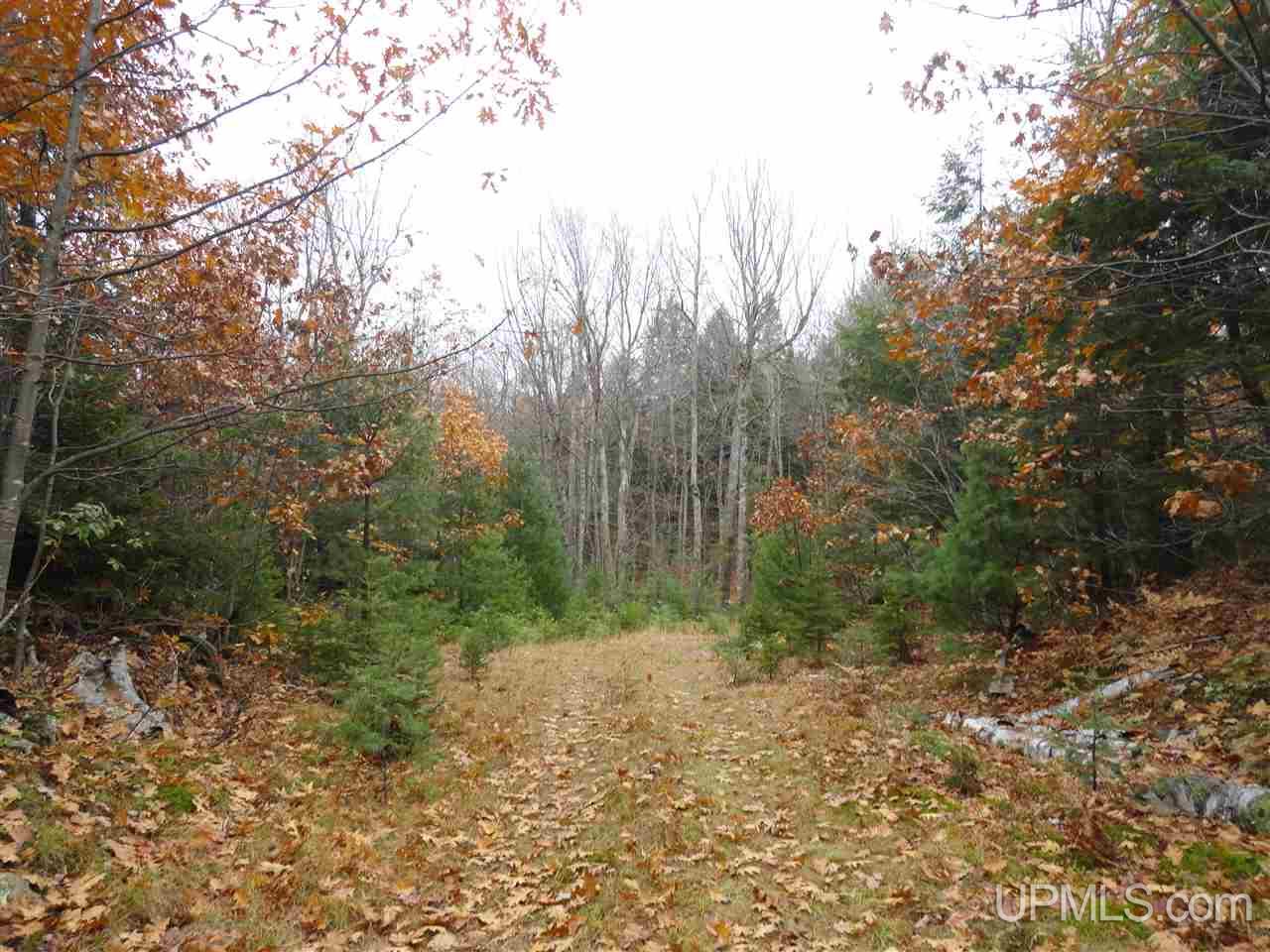 510 Rd Marquette Mi 49855 Road Negaunee, MI 49866 - Photo 21 of 26