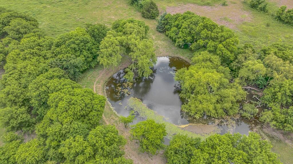 1176 Blue Cut Road North McGregor, TX 76657 - Photo 36 of 40