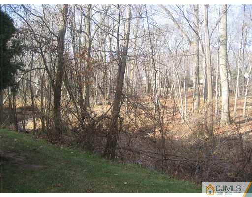 4804 Stonehedge Road Edison, NJ 08820 - Photo 20 of 23 Gallery Image 20