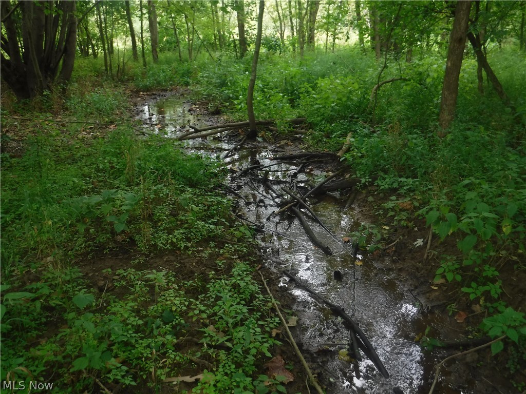 River Road North Dresden, OH 43821 - Photo 31 of 32 Creek running through lower elevation.