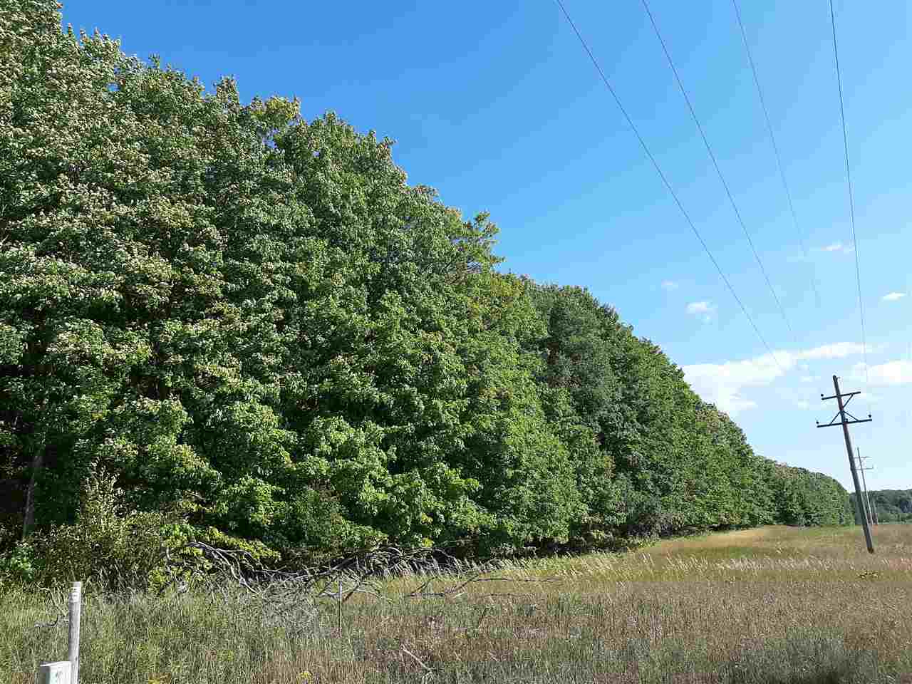 11987 West 14 Road Mesick, MI 49668 - Photo 89 of 99
