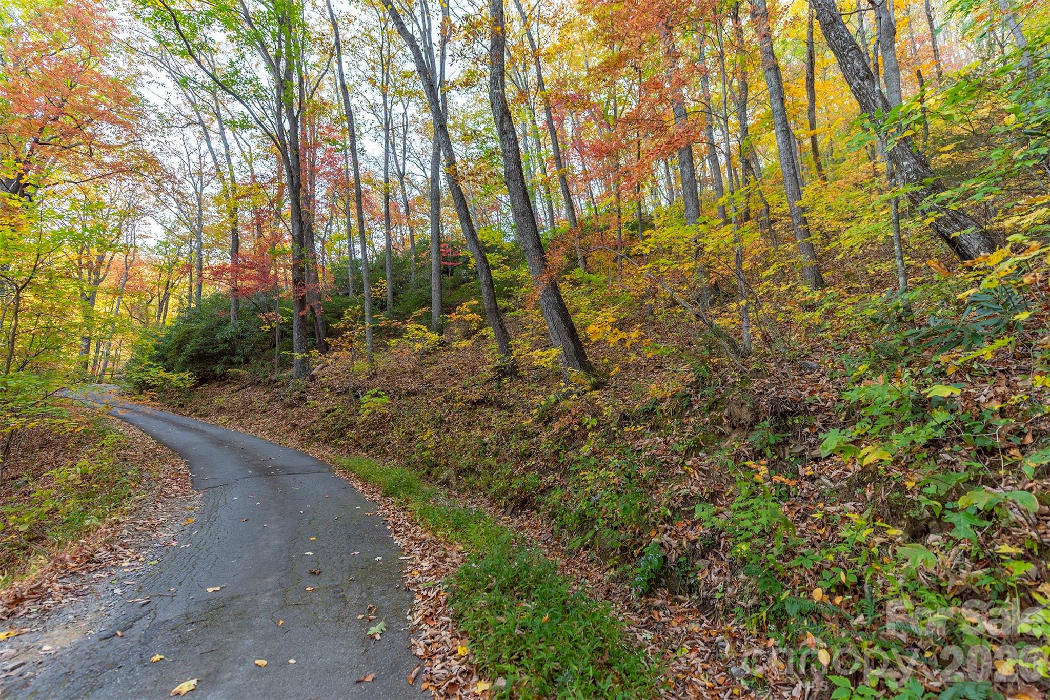 Tbd Summer Haven Road, Unit 16 Swannanoa, NC 28778 - Photo 29 of 45