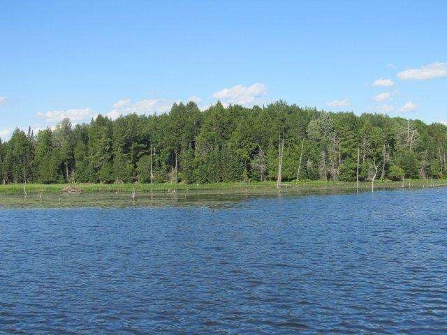 Near Channel Road, Unit LOT 8 Watersmeet, MI 49969 - Photo 6 of 13 Gallery Image 6