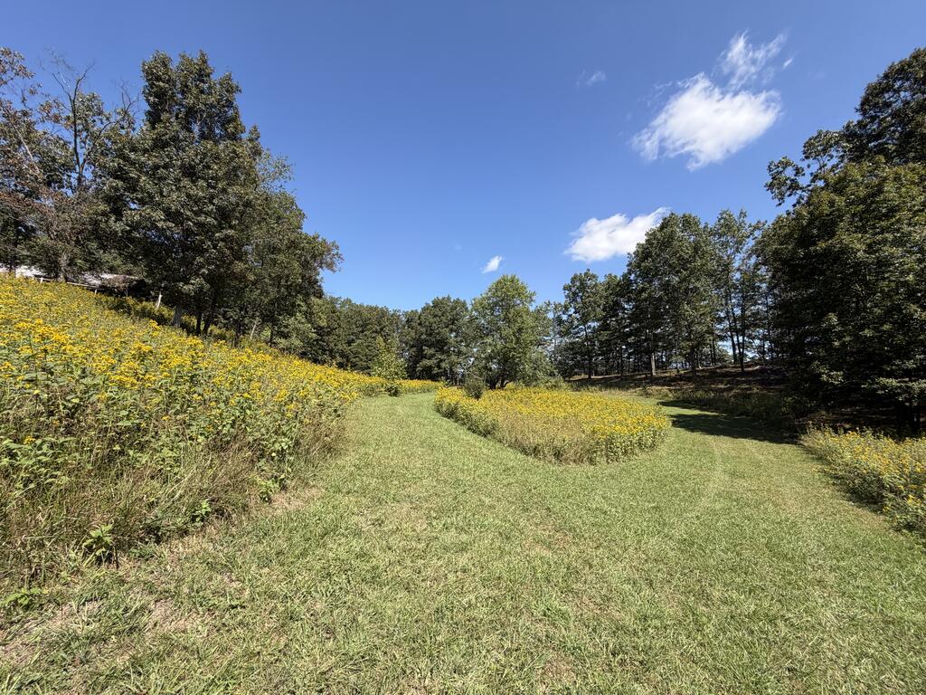 2443 Bruce Allen Road Hinton, WV 25951 - Photo 30 of 75 Gallery Image 30