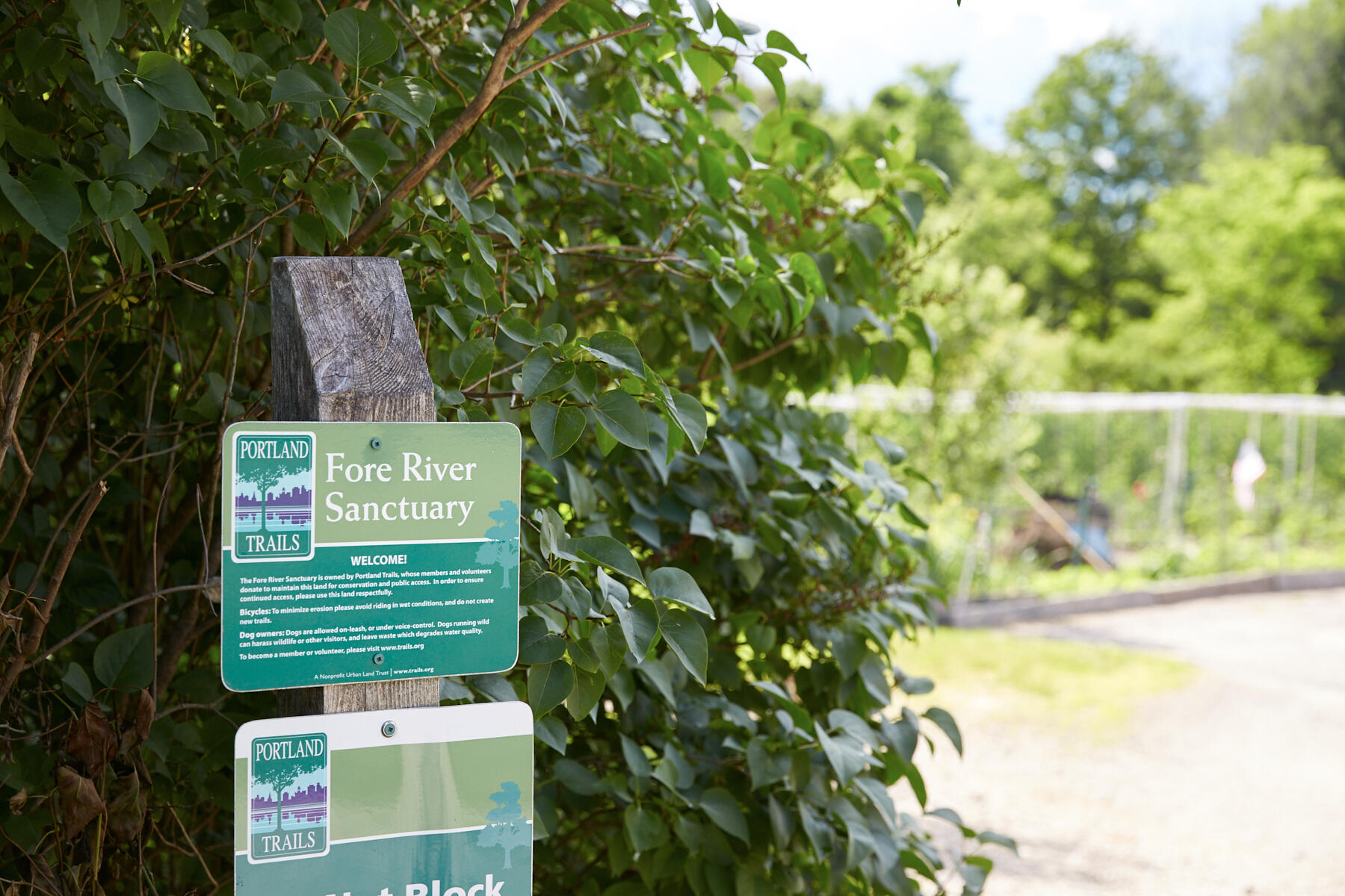 36 Colonial Road Portland, ME 04102 - Photo 45 of 49 ForeRiver1